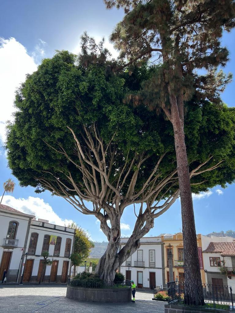 Casa En Teror Centrica Turismo De Ciudad Y Bosques Apartment ภายนอก รูปภาพ